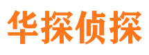 九台调查公司